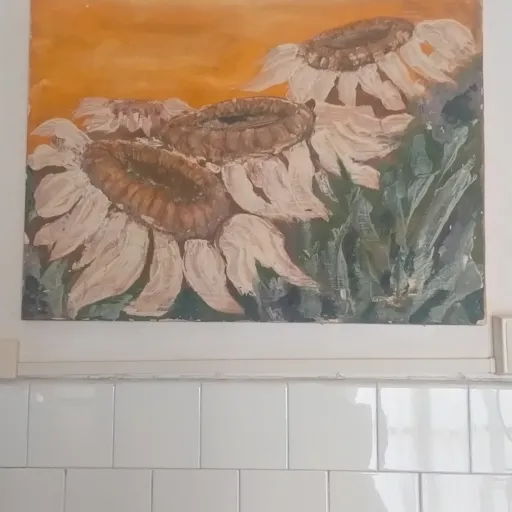 Cosetta Cosetta